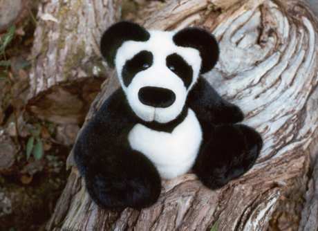Knuddel Panda aus Webplsch